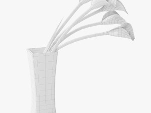 calla lilies 3D-Modell