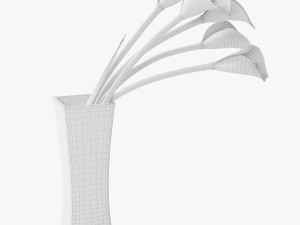 calla lilies 3D-Modell