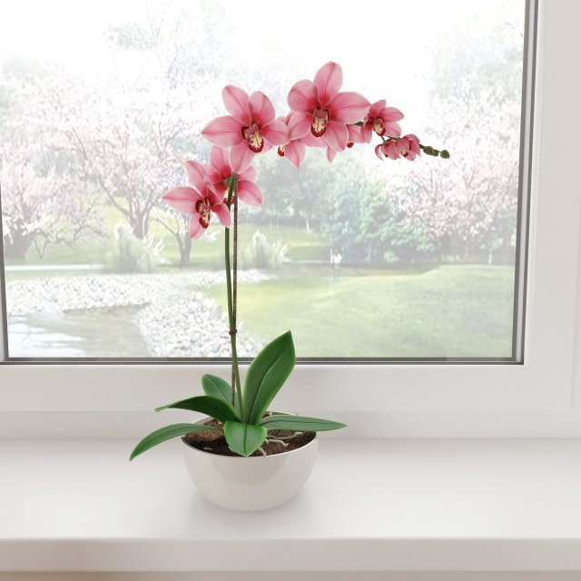 orchid1 3D 模型 .c4d .max .obj .3ds .fbx .stl .blend 