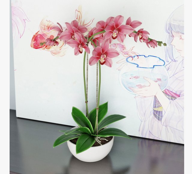 orchid2 Modèle 3D .c4d .max .obj .3ds .fbx .stl .blend 
