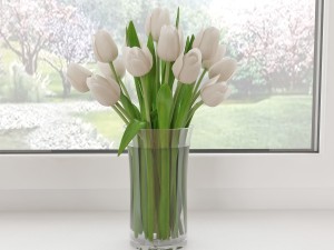 white tulips 3D Model