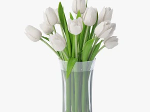 white tulips 3D Model