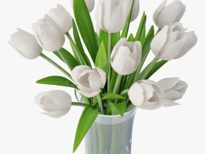 white tulips 3D Model