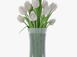 white tulips 3D Model