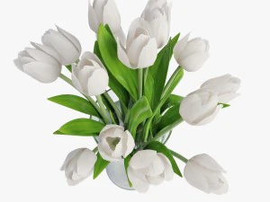 white tulips 3D Model