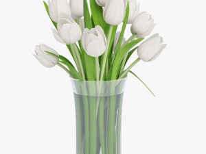 white tulips 3D 모델