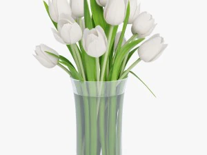 white tulips 3D Model