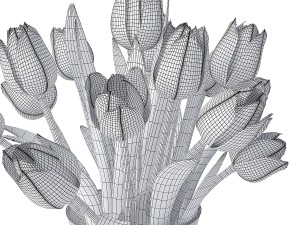 white tulips 3D 모델