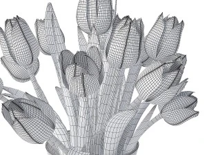 white tulips 3D Model