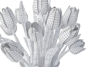 white tulips 3D 모델