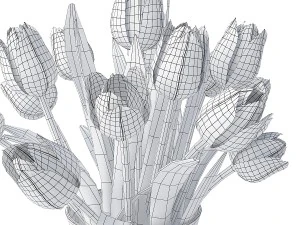 white tulips 3D Model