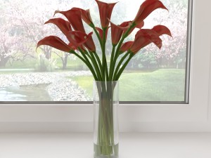 red calla lilies 3D Model
