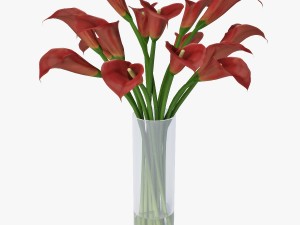 red calla lilies Modelo 3D