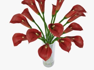 red calla lilies Modelo 3D