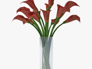red calla lilies Modelo 3D
