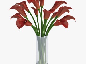 red calla lilies Modelo 3D