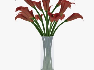 red calla lilies Modelo 3D