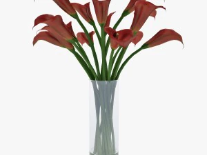 red calla lilies 3D Model