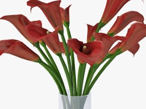 red calla lilies Modelo 3D