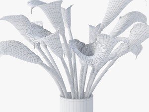 red calla lilies Modelo 3D
