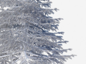 spruce Model 3D