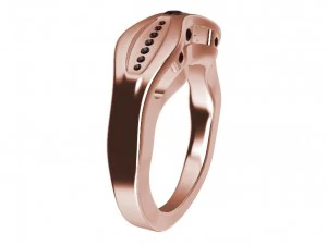 ring with gems 3D Print Model