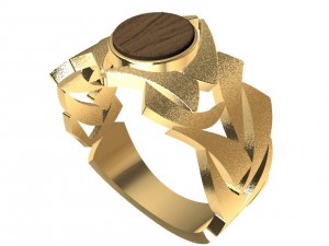 ring with wood and other Model Cetak 3D