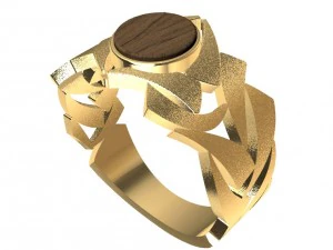 ring with wood and other 3D Print Model
