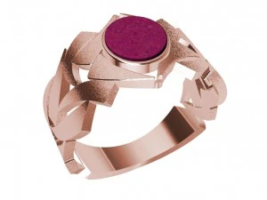 ring with wood and other 3D Print Model