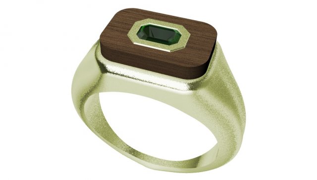 ring with gem and wood 3D 打印模型 .c4d .max .obj .3ds .fbx .stl .blend 