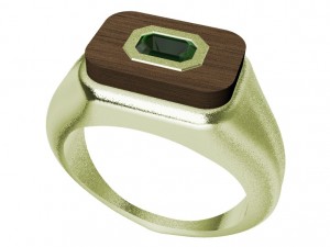 ring with gem and wood 3D Print Model