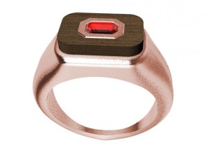 ring with gem and wood 3D 打印模型