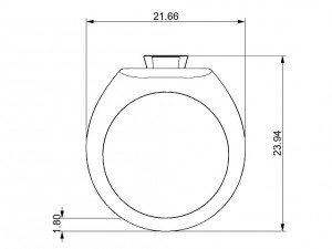 ring with gem and wood 3D 打印模型