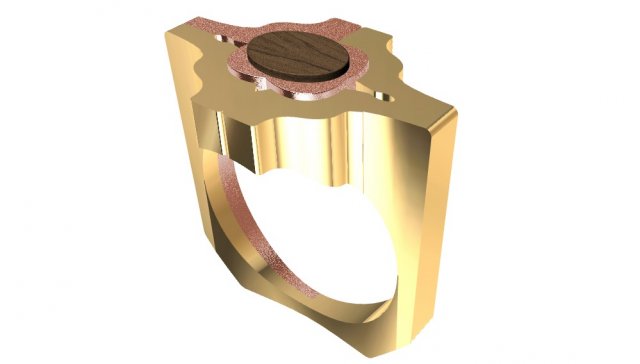 special ring with wood 3D Print Model .c4d .max .obj .3ds .fbx .stl .blend 