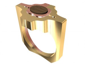 special ring with wood 3D Print Model