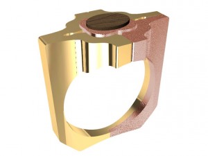 special ring with wood 3D Print Model
