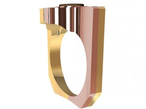 special ring with wood 3D Print Model