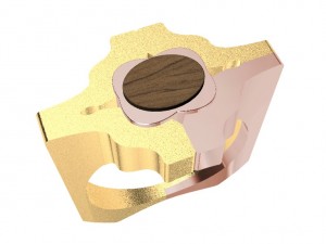 special ring with wood 3D Print Model
