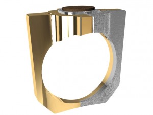 special ring with wood 3D Print Model
