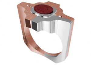 special ring with wood 3D Print Model