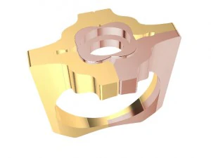 special ring with wood 3D Print Model