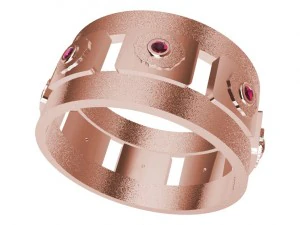 ring 3D Print Model