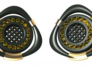 special earrings 3D Print Model