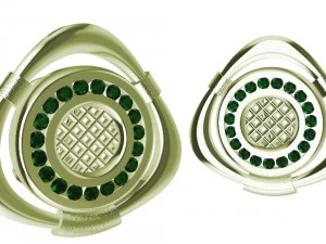 special earrings 3D Print Model
