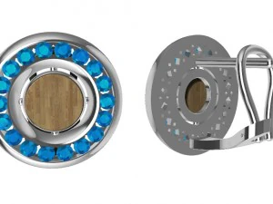 earrings with gems and wood 3D Print Model
