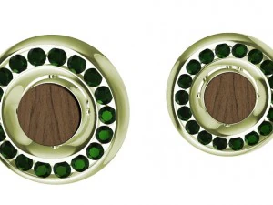 earrings with gems and wood 3D Print Model