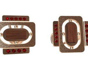 earrings with wood and gems 3D Print Model