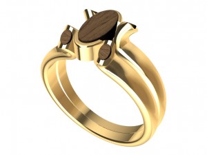 ring with wood 3D Print Model