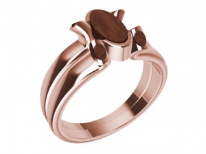 ring with wood Model do druku 3D