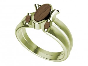 ring with wood Model do druku 3D